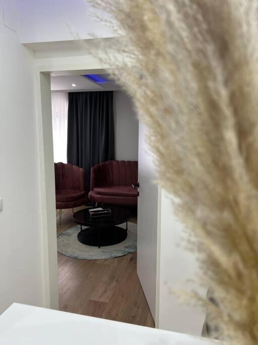 Traum Wohnung Mit Kingsize-Bett Грац Экстерьер фото